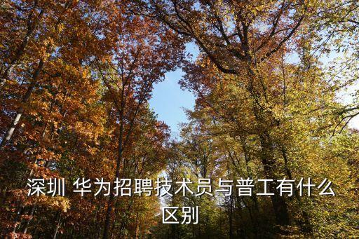  深圳 華為招聘技術(shù)員與普工有什么區(qū)別