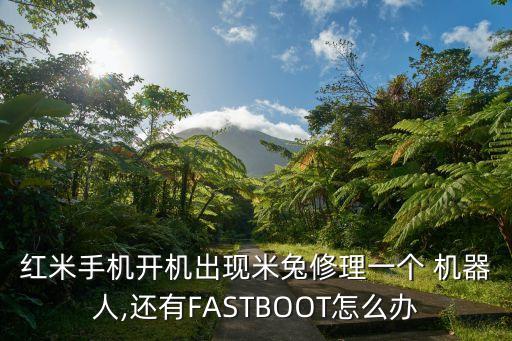 紅米手機(jī)開(kāi)機(jī)出現(xiàn)米兔修理一個(gè) 機(jī)器人,還有FASTBOOT怎么辦
