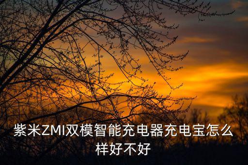紫米ZMI雙模智能充電器充電寶怎么樣好不好