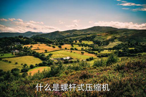 什么是螺桿式壓縮機