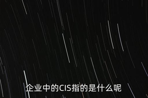 cis，企業(yè)中的CIS指的是什么呢