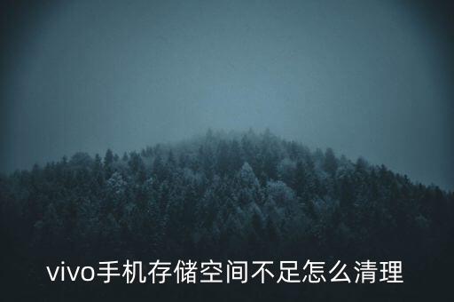 vivo清除數(shù)據(jù)在哪里,vivo手機怎么刪除游戲數(shù)據(jù)?
