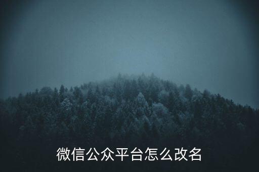 微信公眾平臺(tái)怎么改名