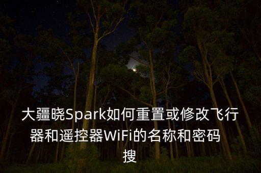 大疆曉Spark如何重置或修改飛行器和遙控器WiFi的名稱和密碼  搜