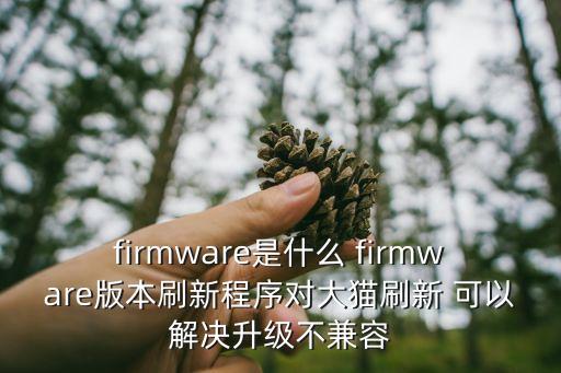 firmware，firmware是什么 firmware版本刷新程序?qū)Υ筘埶⑿?可以解決升級(jí)不兼容