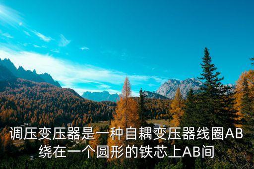 調(diào)壓變壓器是一種自耦變壓器線圈AB繞在一個圓形的鐵芯上AB間