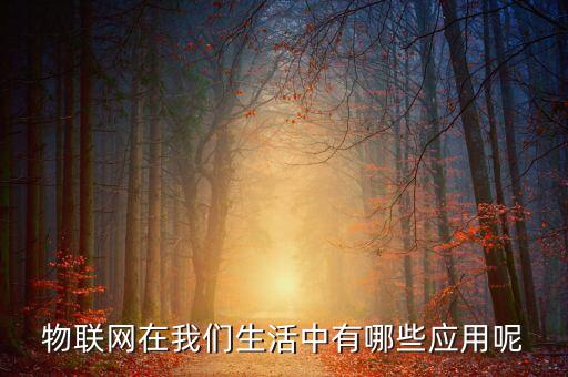 物聯(lián)網(wǎng)產(chǎn)品，物聯(lián)網(wǎng)在我們生活中有哪些應(yīng)用呢