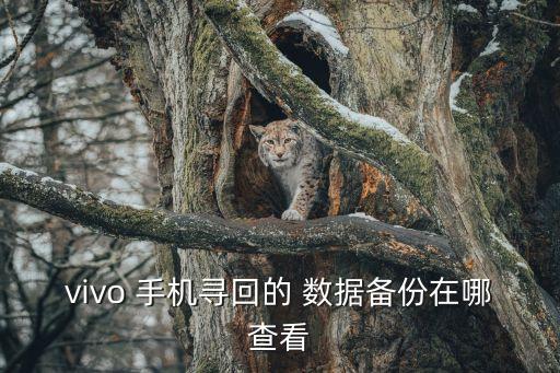 vivo 手機(jī)尋回的 數(shù)據(jù)備份在哪查看