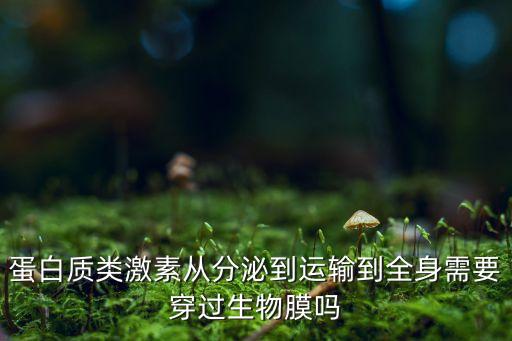 蛋白質(zhì)類激素從分泌到運(yùn)輸?shù)饺硇枰┻^生物膜嗎