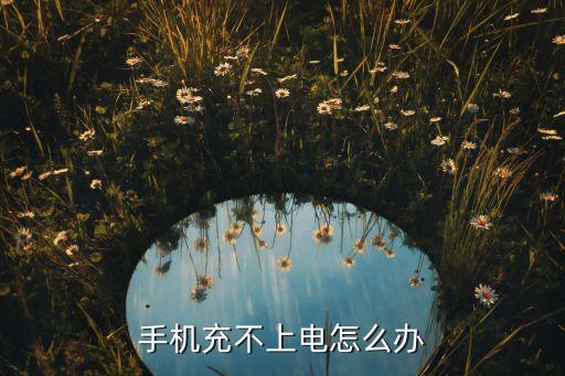 手機(jī)充不上電怎么辦