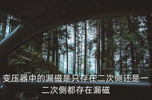 變壓器中的漏磁是只存在二次側(cè)還是一二次側(cè)都存在漏磁