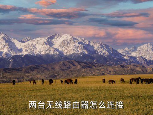 兩個路由器怎么連接，兩臺無線路由器怎么連接