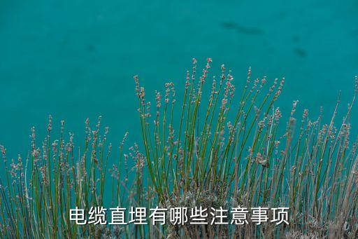 電纜直埋有哪些注意事項(xiàng)