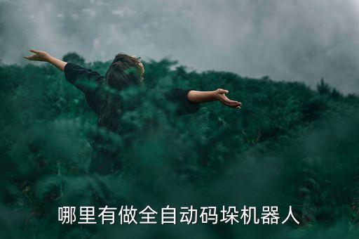 哪里有做全自動(dòng)碼垛機(jī)器人