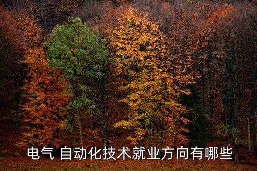 電氣自動(dòng)化后來(lái)轉(zhuǎn)行做什么,it程序員后來(lái)都轉(zhuǎn)行做什么了