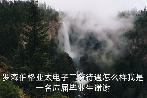 羅森伯格亞太電子有限公司，誰知道羅森伯格亞太電子這家公司怎么樣啊待遇如何有知道的