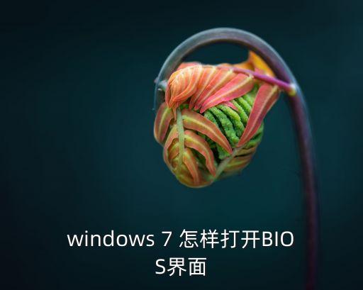 進(jìn)bios，windows 7 怎樣打開(kāi)BIOS界面