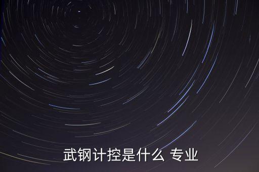  武鋼計(jì)控是什么 專業(yè)