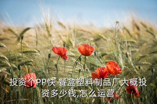 投資個(gè)PP快 餐盒塑料制品廠大概投資多少錢,怎么運(yùn)營(yíng)
