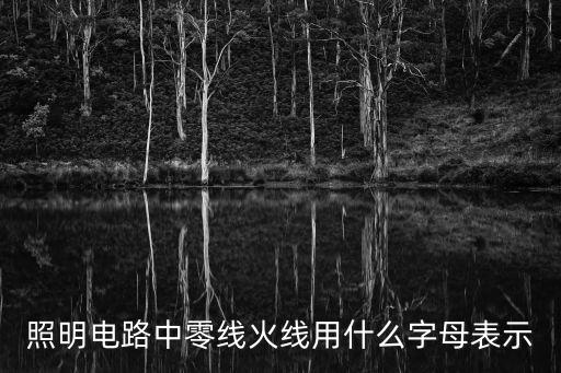 照明電路中零線火線用什么字母表示