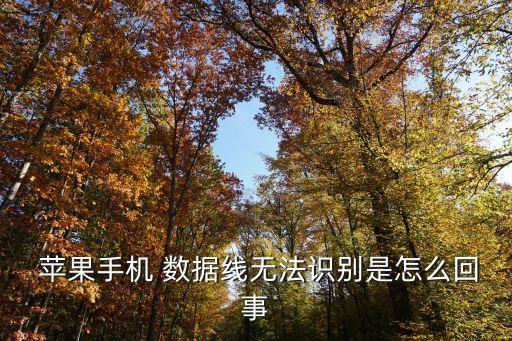  蘋果手機 數(shù)據(jù)線無法識別是怎么回事