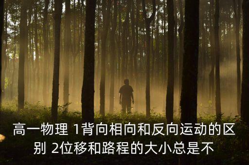 高一物理 1背向相向和反向運動的區(qū)別 2位移和路程的大小總是不