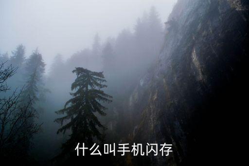 什么叫手機(jī)閃存