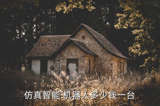 仿真智能 機(jī)器人多少錢一臺