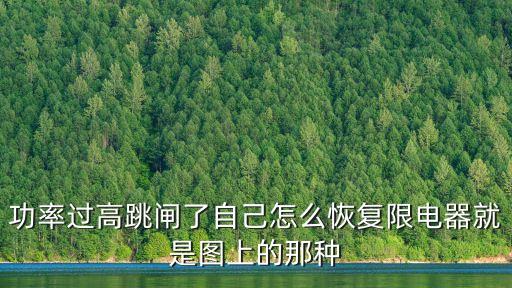 功率過(guò)高跳閘了自己怎么恢復(fù)限電器就是圖上的那種