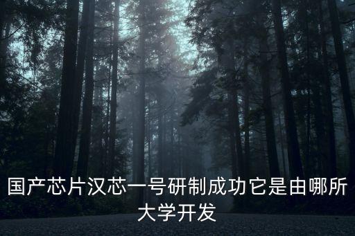 漢芯，龍芯和漢芯是不是用國(guó)產(chǎn)的軟件控制國(guó)產(chǎn)的設(shè)備做出來(lái)的