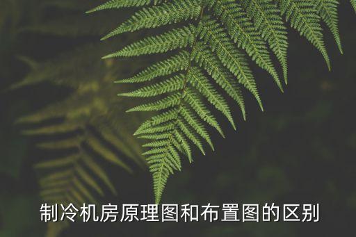  制冷機(jī)房原理圖和布置圖的區(qū)別