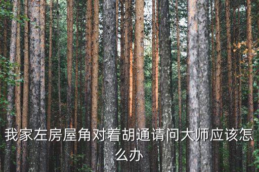 胡通，三米三寬胡通兩米5寬大門買五征農(nóng)用三輪車行嗎