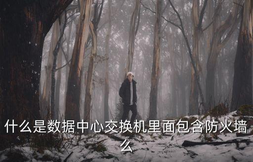 什么是交換機，什么是數(shù)據(jù)中心交換機里面包含防火墻么