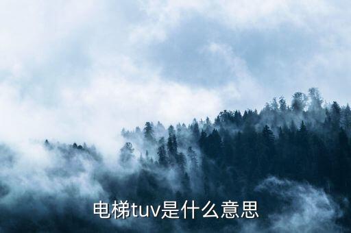電梯tuv是什么意思