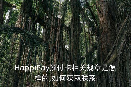HappiPay預(yù)付卡相關(guān)規(guī)章是怎樣的,如何獲取聯(lián)系