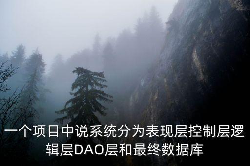 一個項目中說系統(tǒng)分為表現(xiàn)層控制層邏輯層DAO層和最終數(shù)據(jù)庫