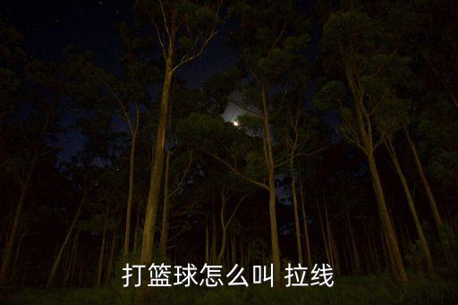 拉線，電力線路的拉線的常見形式有哪些