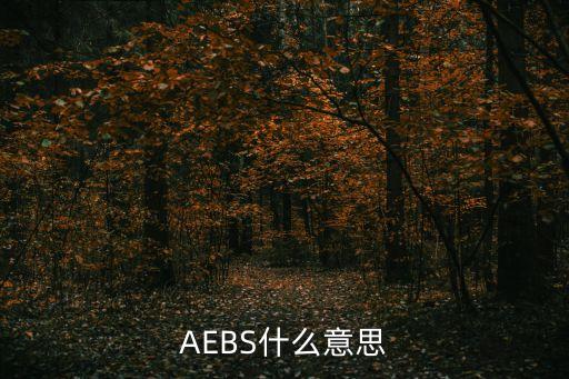AEBS什么意思