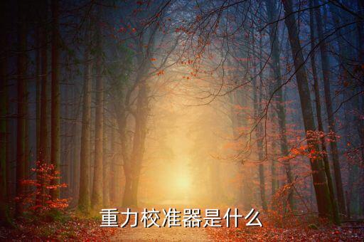 重力校準(zhǔn)器是什么