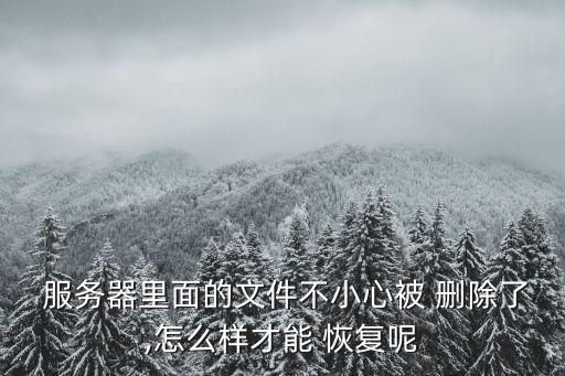  服務(wù)器里面的文件不小心被 刪除了,怎么樣才能 恢復(fù)呢