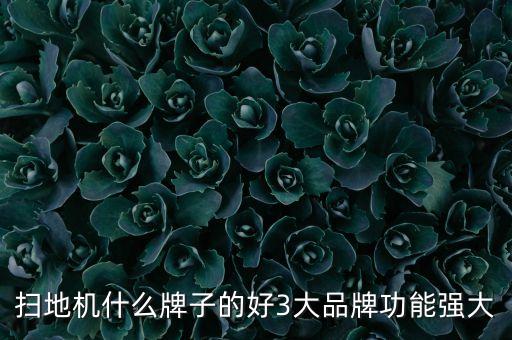 掃地機(jī)什么牌子的好3大品牌功能強(qiáng)大
