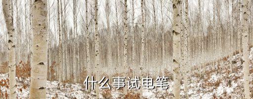 什么事試電筆