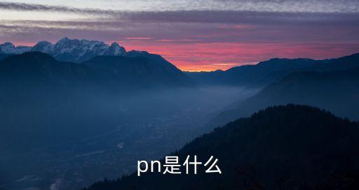 pn是什么