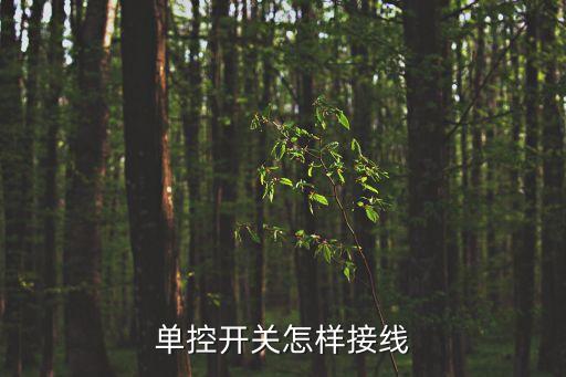 單控開關(guān)怎樣接線
