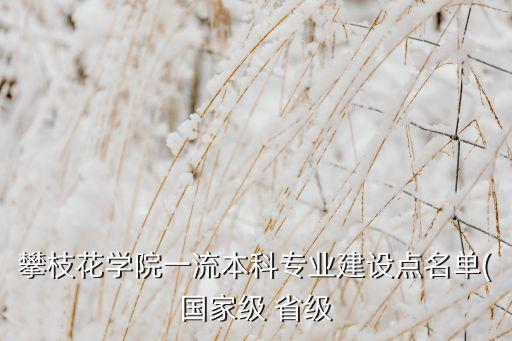 攀枝花專(zhuān)升本電氣自動(dòng)化,攀枝花學(xué)院專(zhuān)升本錄取名單未公布