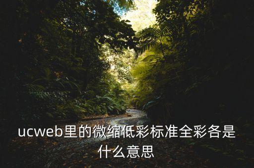 ucweb里的微縮低彩標準全彩各是什么意思