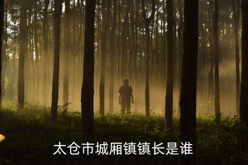 太倉市城廂鎮(zhèn)鎮(zhèn)長是誰