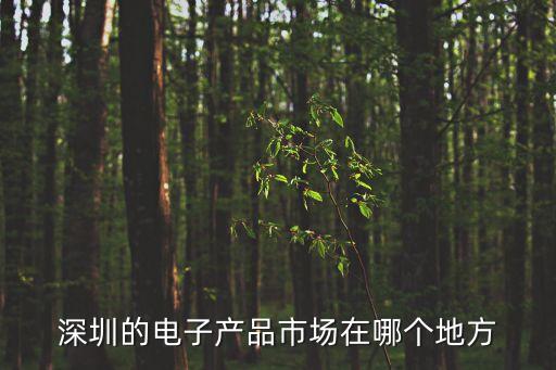 深圳的電子產(chǎn)品市場在哪個地方