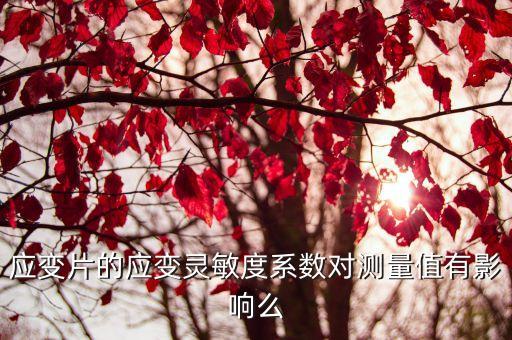 應變片的應變靈敏度系數(shù)對測量值有影響么