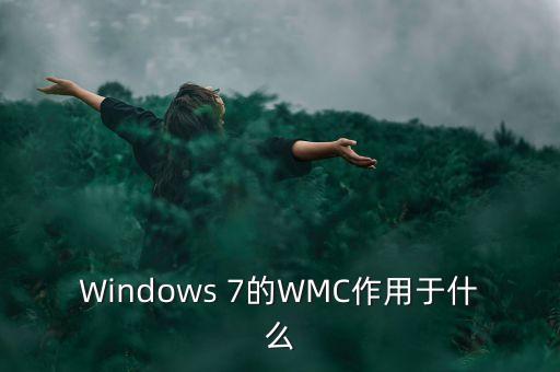 wmc，Windows 7的WMC作用于什么